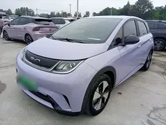 2023 BYD Dolphin 420km Freedom — фото 2