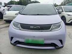 2023 BYD Dolphin 420km Freedom — фото 3