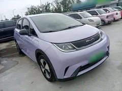 2023 BYD Dolphin 420km Freedom — фото 4