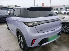 2023 BYD Dolphin 420km Freedom — фото 5