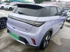 2023 BYD Dolphin 420km Freedom — фото 7