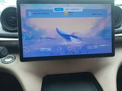 2023 BYD Dolphin 420km Freedom — фото 13