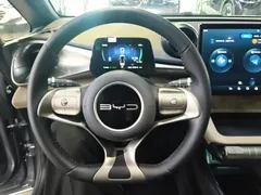 2023 BYD Dolphin 420km Fashion — фото 11