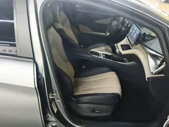 2023 BYD Dolphin 420km Fashion — фото 25