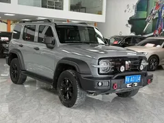 2021 Tank 300 Off-road 2.0T Conqueror — фото 3