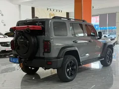 2021 Tank 300 Off-road 2.0T Conqueror — фото 13