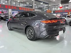 2024 BYD Qin L PHEV 80km Leading — фото 6