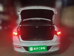 2021 BYD Qin PLUS DM-i PHEV 55km Flagship, белый — фото 20