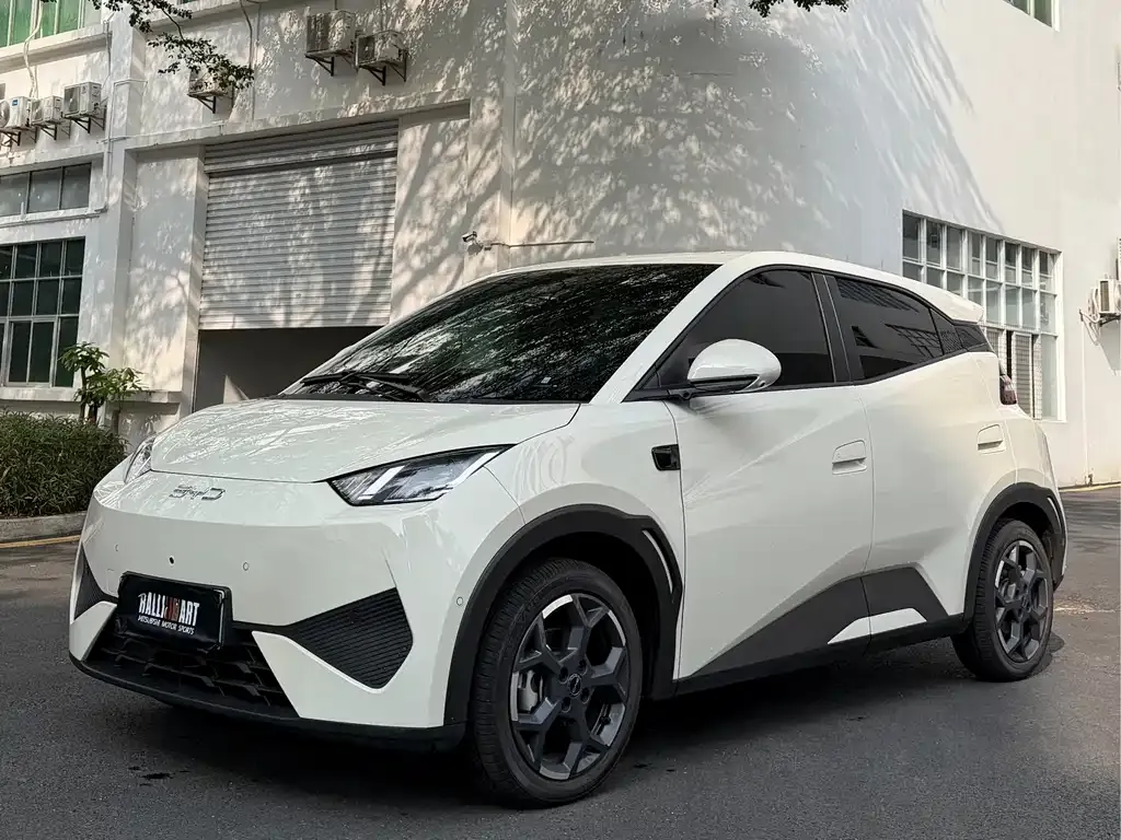 2025 BYD Seagull Smart Driving 305km Freedom