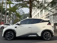 2025 BYD Seagull Smart Driving 305km Freedom, белый — фото 3