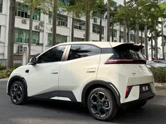 2025 BYD Seagull Smart Driving 305km Freedom, белый — фото 4