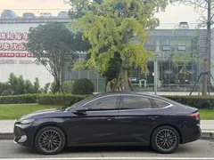 2025 BYD Qin L PHEV Smart Driving 120KM Excellence — фото 13