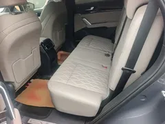 2024 BYD Tang PHEV DM-p Honor Edition 215km 4WD Premium — фото 17