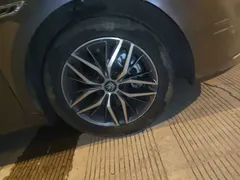 2023 BYD Qin PLUS Champion DM-i PHEV 55km Exceed — фото 24
