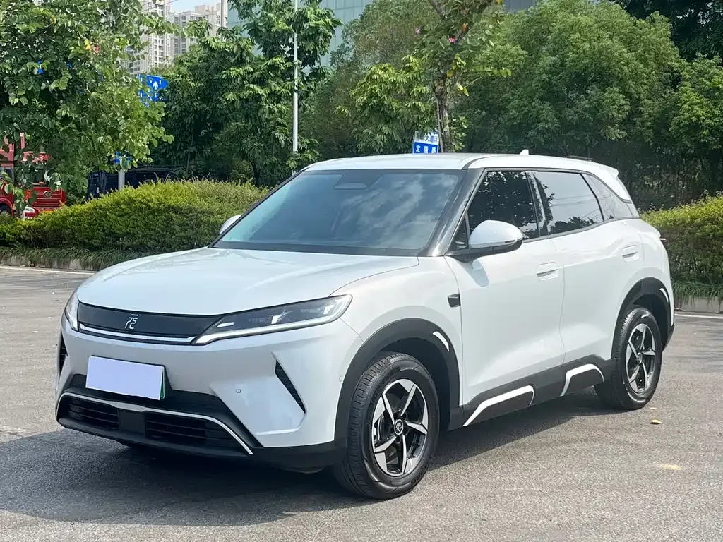 2025 BYD Yuan UP Smart Driving 401km Leading