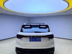 2021 Geely Coolray 1.4T DCT Diamond, белый — фото 5