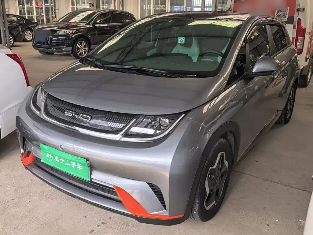 2021 BYD Dolphin 405km Fashion