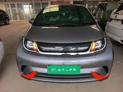 2021 BYD Dolphin 405km Fashion — фото 3