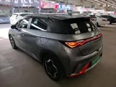 2021 BYD Dolphin 405km Fashion — фото 5