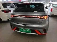 2021 BYD Dolphin 405km Fashion — фото 6