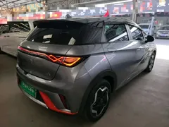 2021 BYD Dolphin 405km Fashion — фото 7