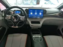 2021 BYD Dolphin 405km Fashion — фото 10