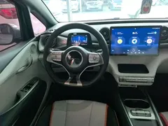 2021 BYD Dolphin 405km Fashion — фото 11