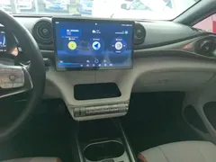 2021 BYD Dolphin 405km Fashion — фото 13