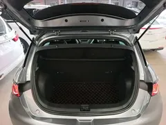 2021 BYD Dolphin 405km Fashion — фото 19