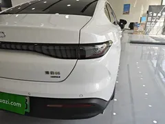 2025 BYD Seal 05 PHEV 120KM Smart Driving Flagship, белый — фото 8