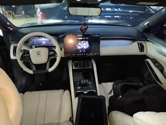 2025 BYD Song L EV 550km Excellence — фото 10