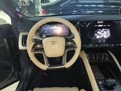 2025 BYD Song L EV 550km Excellence — фото 11
