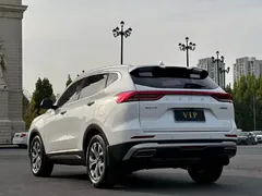 2021 Haval H6 1.5T AT Champion, белый — фото 7