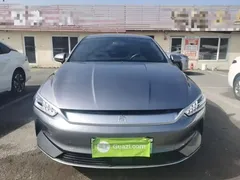 2023 BYD Qin PLUS Champion EV 510km Leading — фото 3