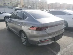 2023 BYD Qin PLUS Champion EV 510km Leading — фото 5