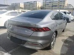 2023 BYD Qin PLUS Champion EV 510km Leading — фото 7