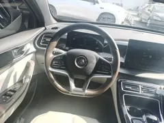 2023 BYD Qin PLUS Champion EV 510km Leading — фото 11