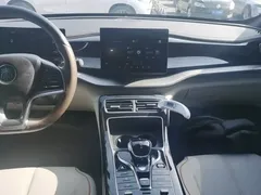 2023 BYD Qin PLUS Champion EV 510km Leading — фото 13