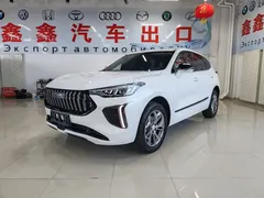 2023 Haval Chitu 1.5T Excellence, белый — фото 1