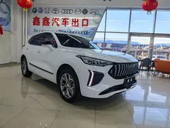 2023 Haval Chitu 1.5T Excellence, белый — фото 3