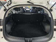 2023 Haval Chitu 1.5T Excellence, белый — фото 9