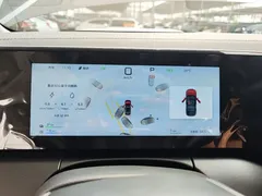2025 BYD Song L PHEV Smart Driving 112km Exceed — фото 12