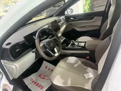 2024 BYD Qin PLUS Honor DM-i PHEV 55km Leading, белый — фото 7
