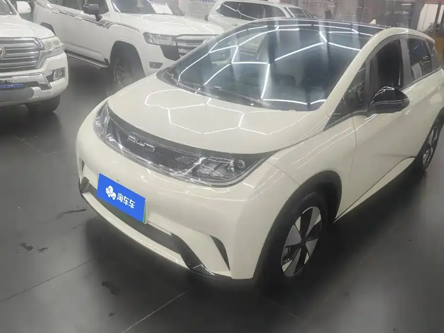 2023 BYD Dolphin 420km Fashion