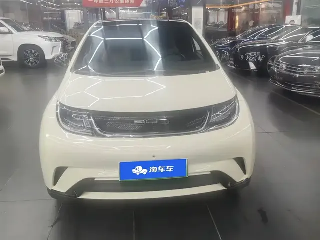 2023 BYD Dolphin 420km Fashion