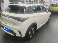 2023 BYD Dolphin 420km Fashion, белый — фото 3