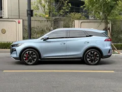 2024 BYD Tang DM-p PHEV Champion 215KM 4WD Flagship, синий — фото 3