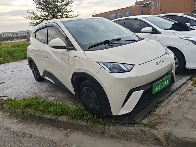 2023 BYD Seagull Vitality