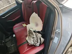 2021 Changan Eado PLUS Blue Whale NE 1.4T GDI DCT Flagship — фото 13