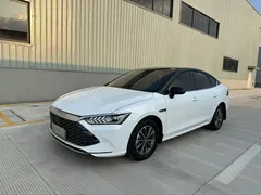 2023 BYD Qin PLUS Champion DM-i PHEV 55km Exceed, белый — фото 1